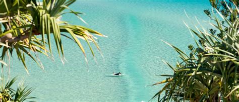Expedia Travel: Vacation Homes, Hotels, Car Rentals, Flights & More.